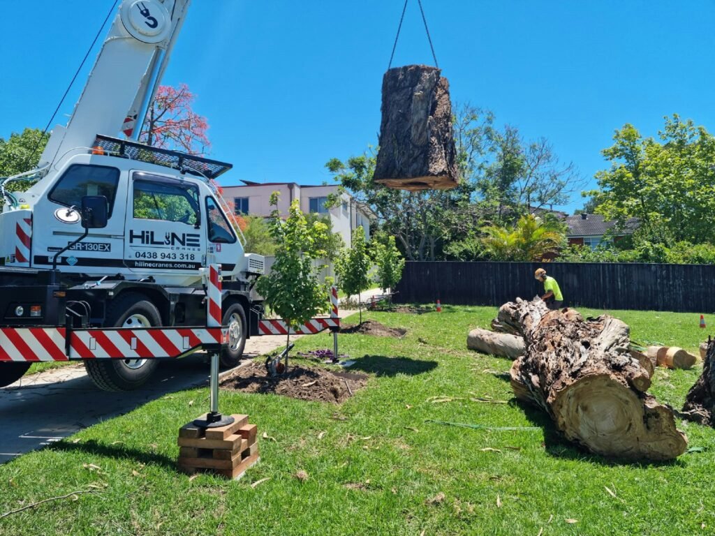 tree removal rockhampton